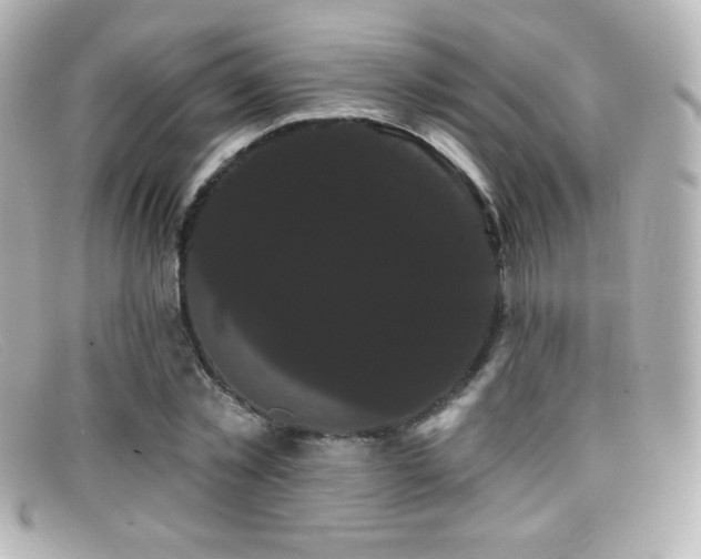 X0000099380781200805081445