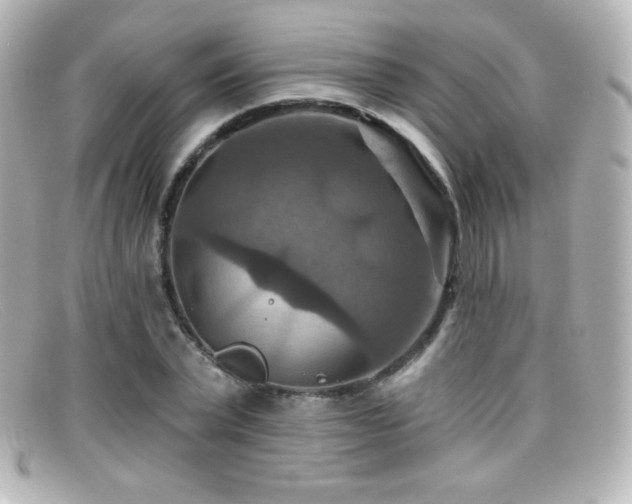 X0000099380783200805081445