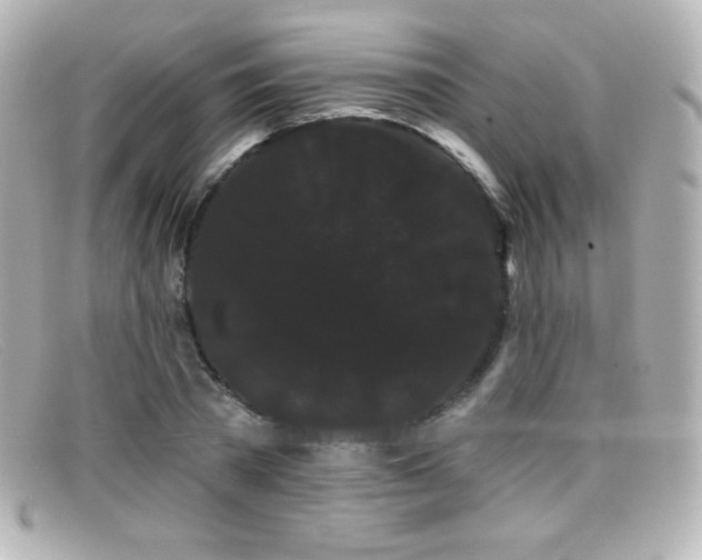 X0000099380785200805081445