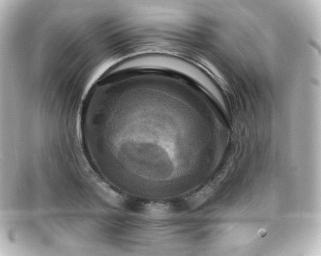 X0000099380788200805081445