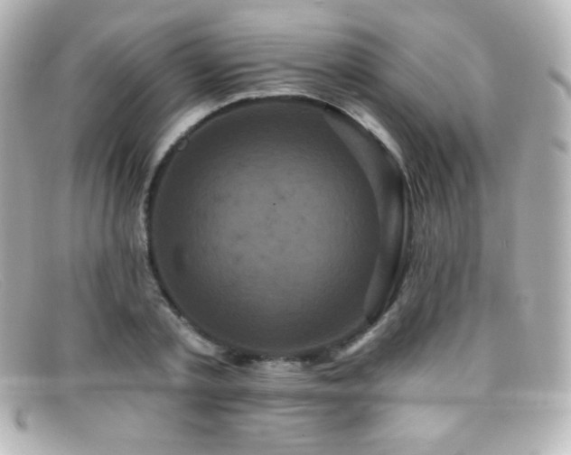 X0000099380789200805081445