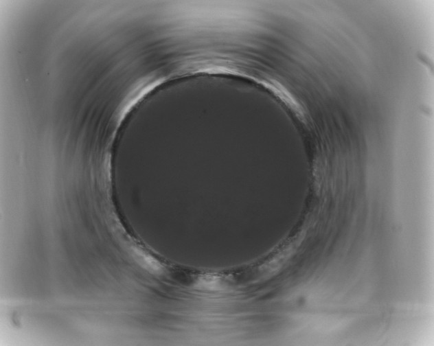 X0000099380790200805081445