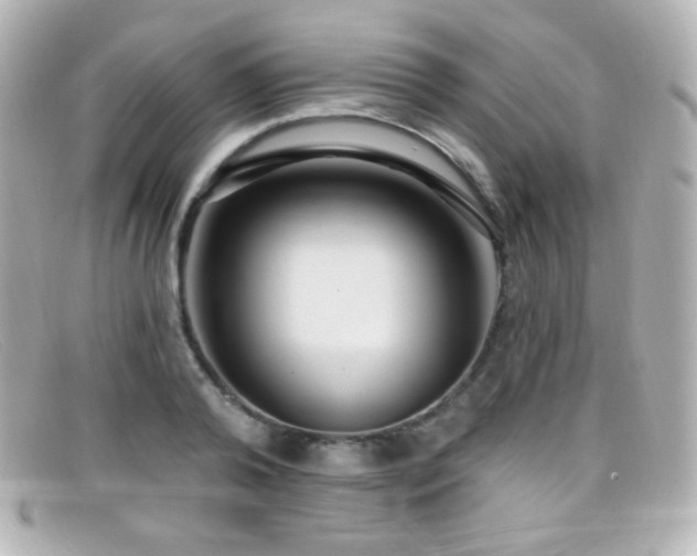 X0000099380792200805081445