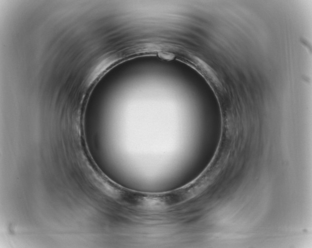 X0000099380794200805081445