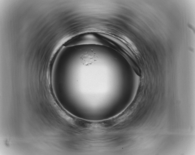 X0000099380796200805081445
