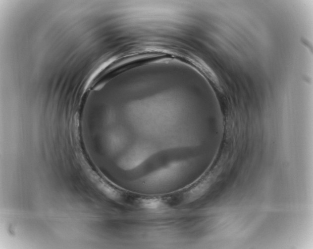X0000099380798200805081445