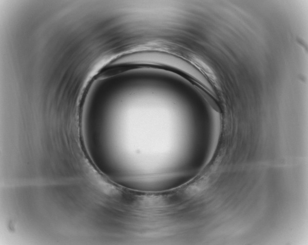 X0000099380800200805081445