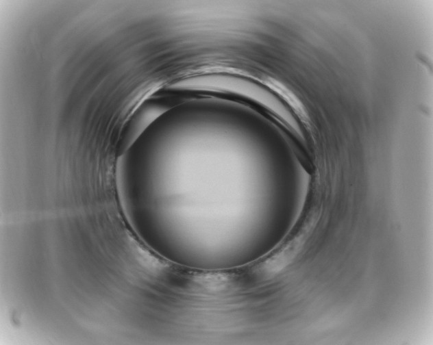 X0000099380801200805081445