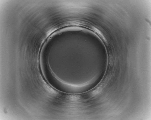X0000099380802200805081445