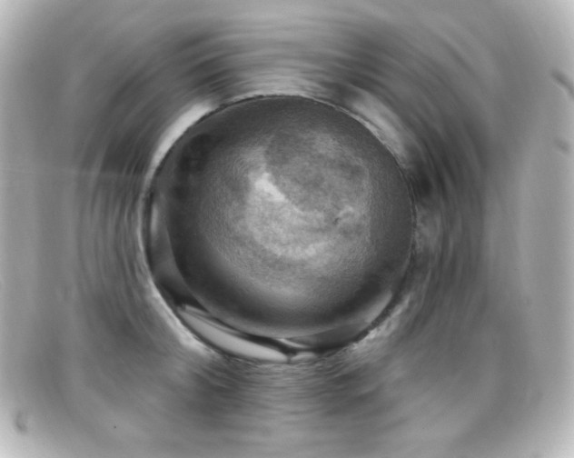X0000099380804200805081445