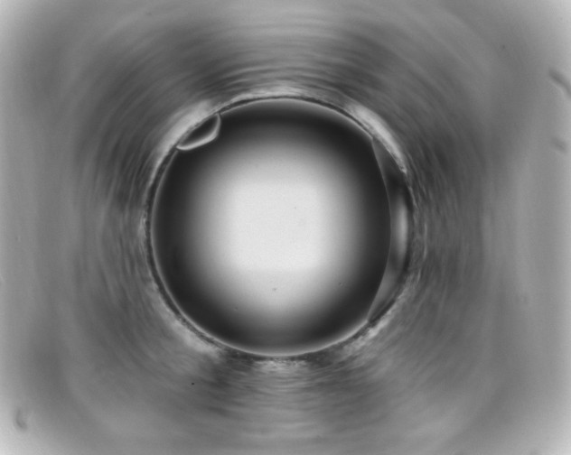 X0000099380805200805081445