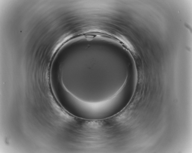 X0000099380806200805081445