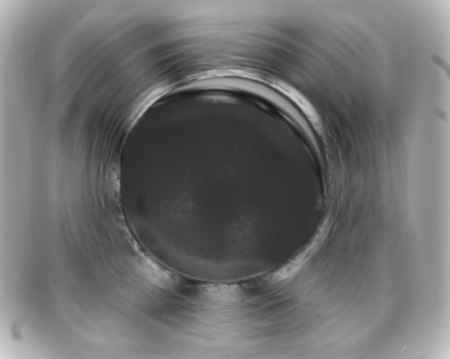 X0000099380809200805081444