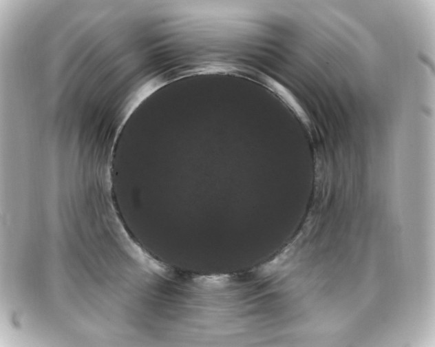 X0000099380810200805081444