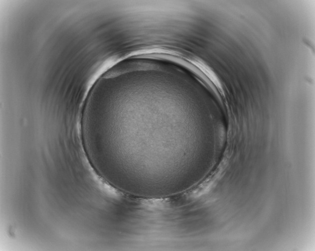 X0000099380813200805081444