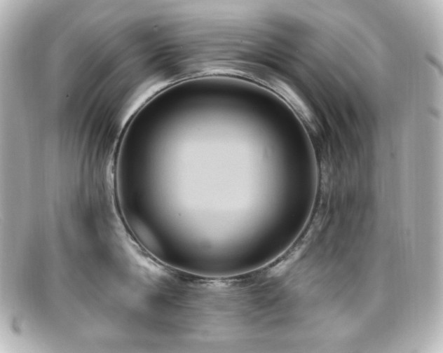 X0000099380814200805081444