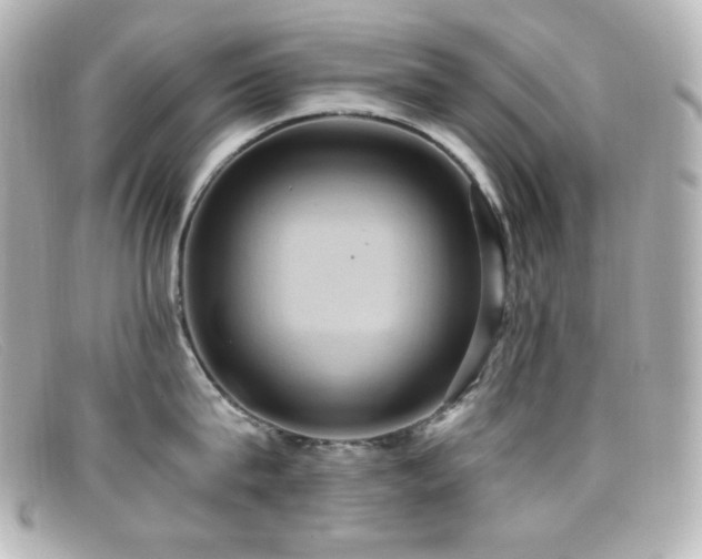 X0000099380815200805081444