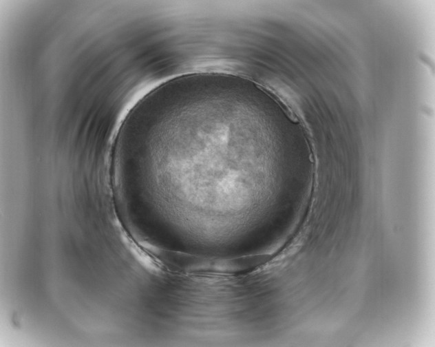 X0000099380816200805081444