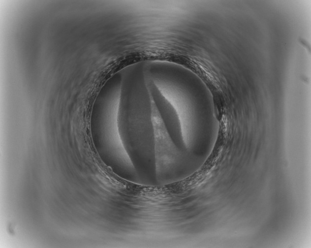 X0000099380817200805081444