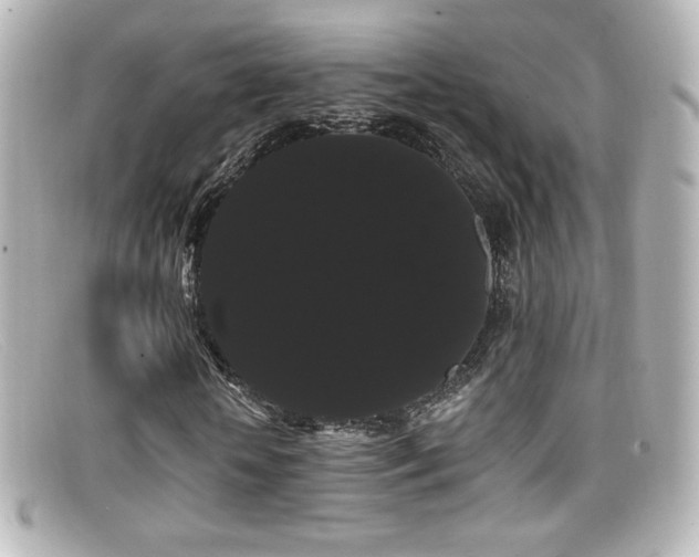 X0000099380818200805081444