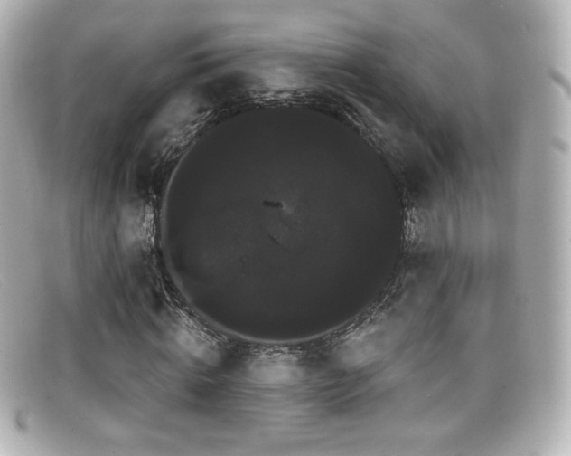 X0000099380820200805081444