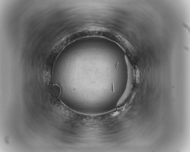 X0000099380821200805081444