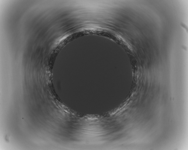 X0000099380822200805081444