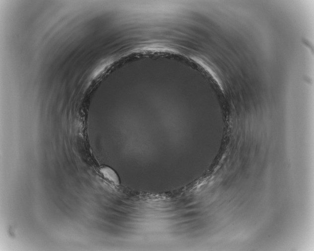X0000099380823200805081444