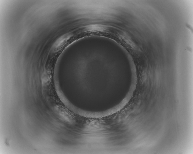 X0000099380824200805081444