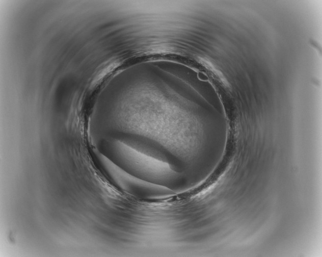 X0000099380825200805081444