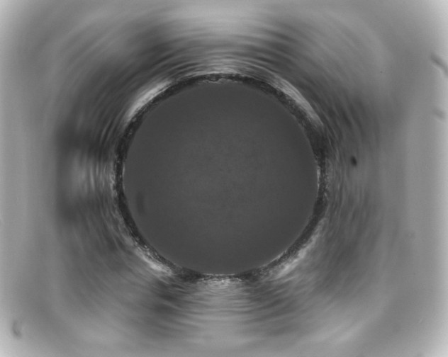 X0000099380826200805081444