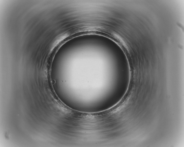 X0000099380827200805081444