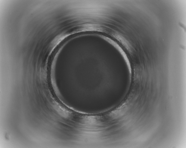X0000099380828200805081444