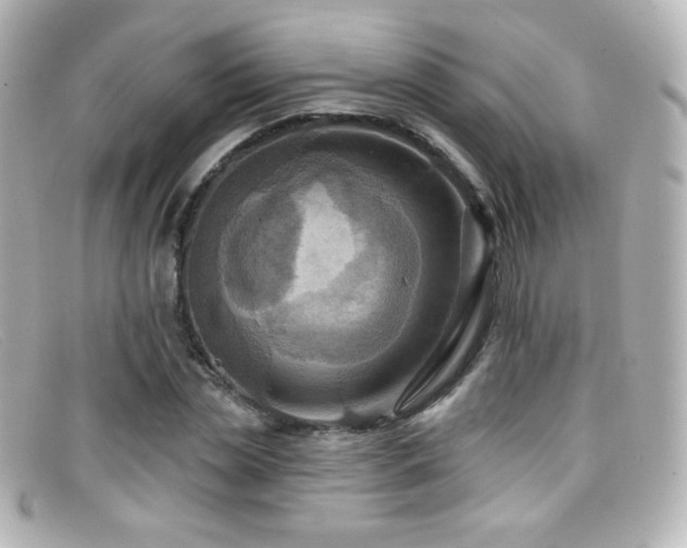 X0000099380829200805081444