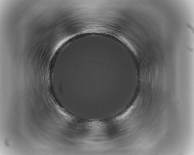 X0000099380830200805081444
