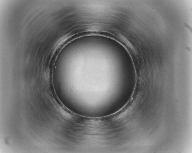 X0000099380831200805081444