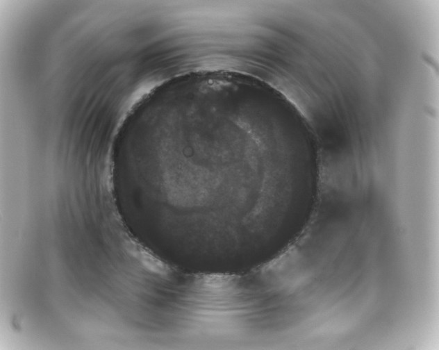 X0000099380832200805081444