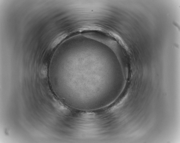 X0000099380833200805081444