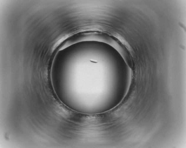X0000099380834200805081444