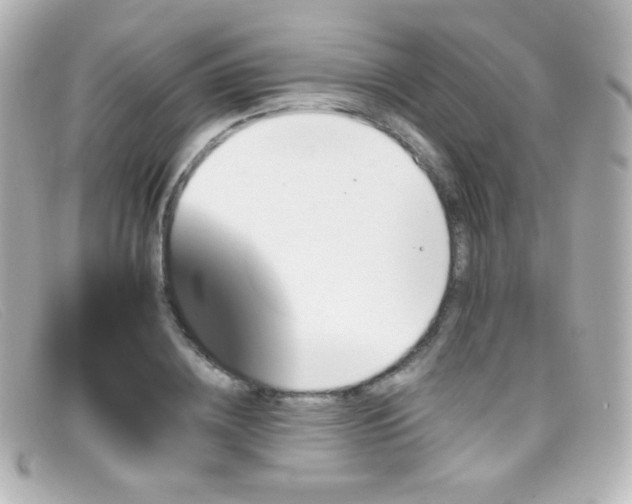 X0000099380836200805081444