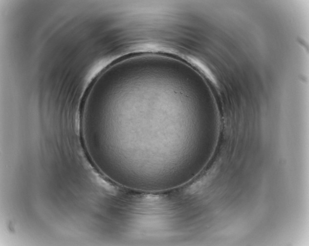 X0000099380839200805081444