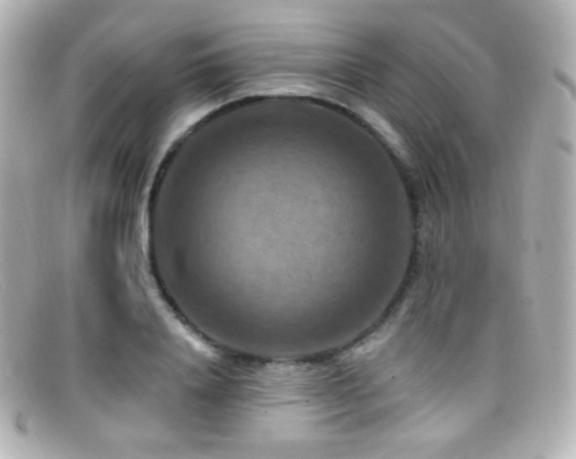 X0000099380840200805081444