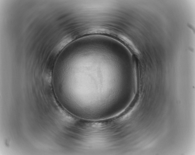 X0000099380841200805081444
