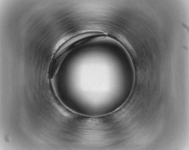 X0000099380842200805081444