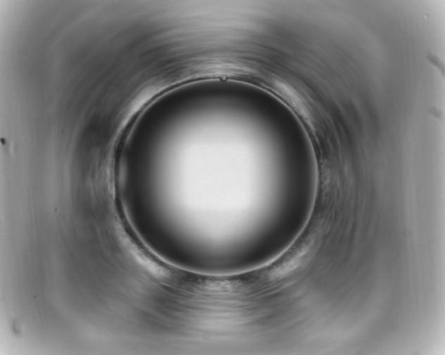 X0000099380843200805081444