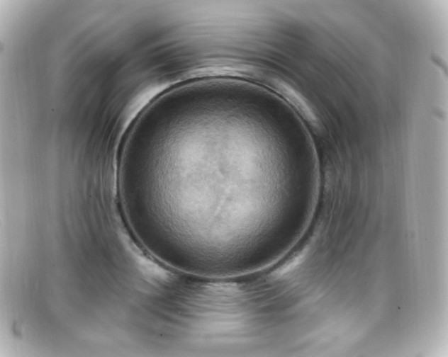 X0000099380844200805081444
