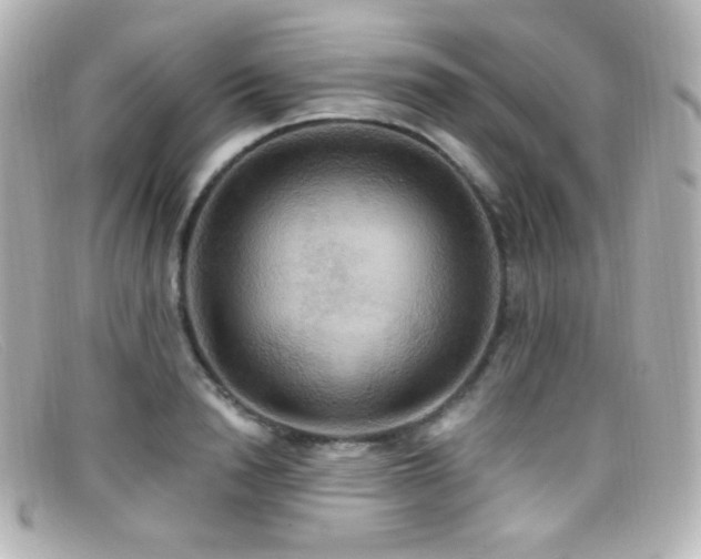 X0000099380846200805081444