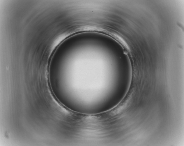 X0000099380847200805081444