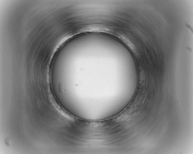 X0000099380848200805081444
