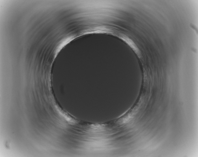 X0000099380850200805081444
